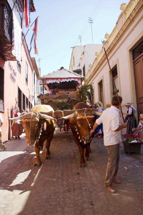 Hotel Rural Orotava La Orotava Exterior photo